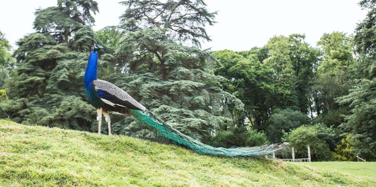 Pendley Manor Hotel Tring Ngoại thất bức ảnh